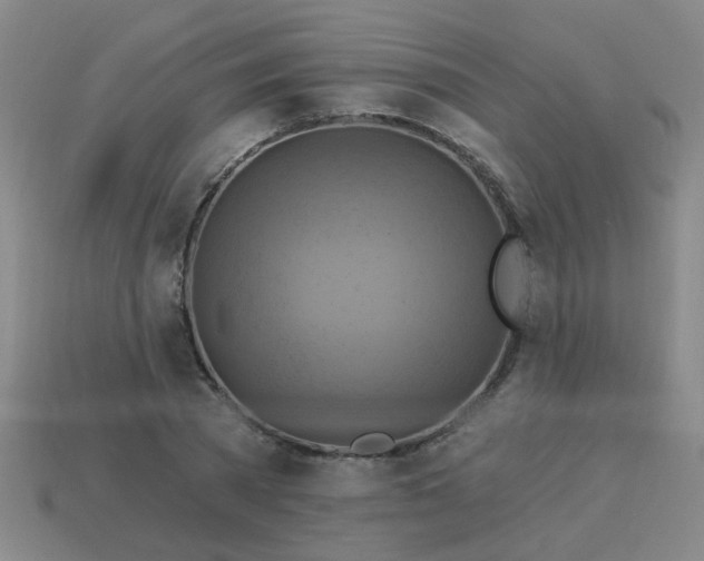 X0000114100785200910191641