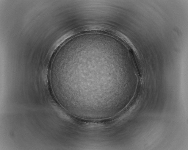 X0000114100786200910191641