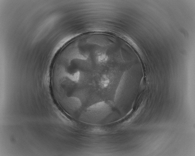 X0000114100787200910191641