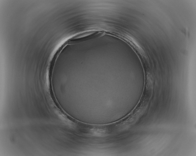 X0000114100788200910191641