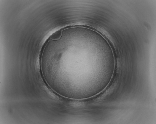 X0000114100789200910191641