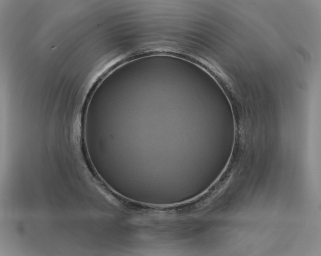 X0000114100790200910191641