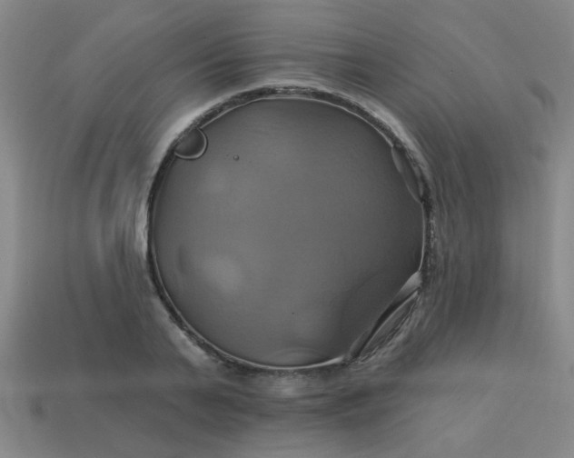 X0000114100791200910191641