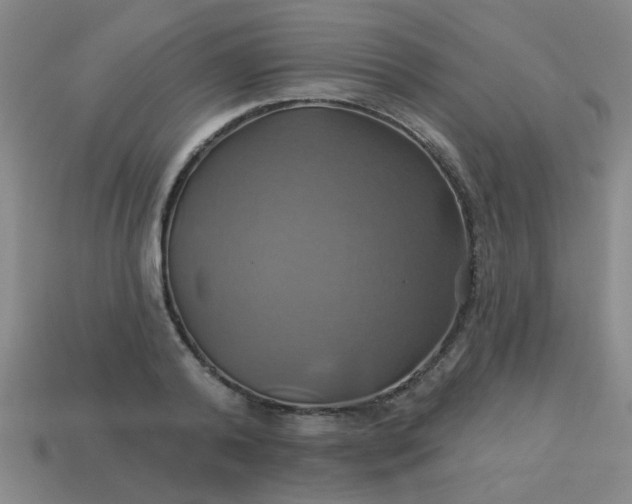 X0000114100792200910191641