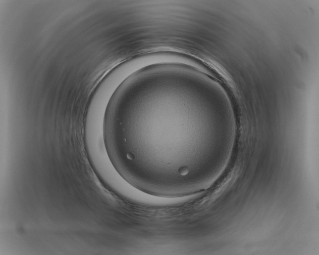 X0000114100793200910191641