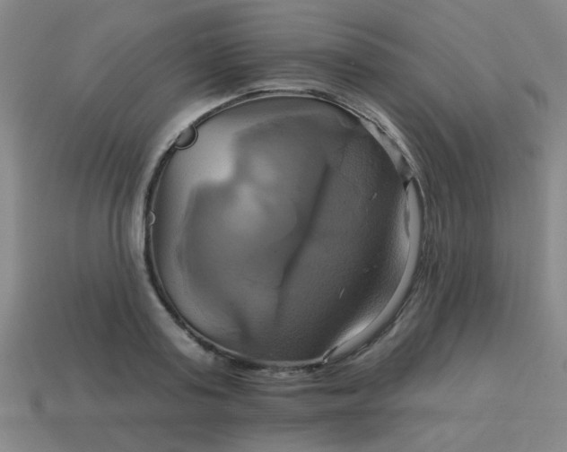 X0000114100795200910191641