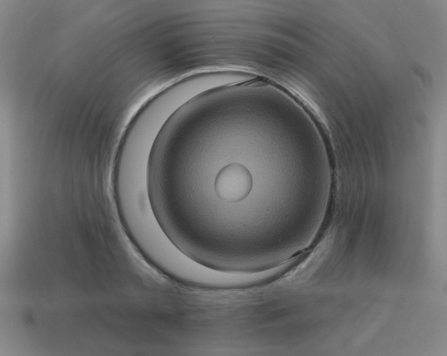 X0000114100797200910191641