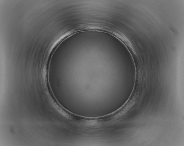 X0000114100798200910191641