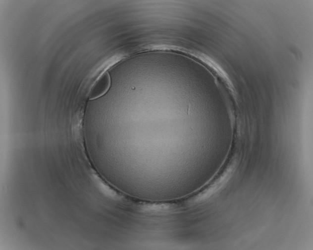 X0000114100801200910191641