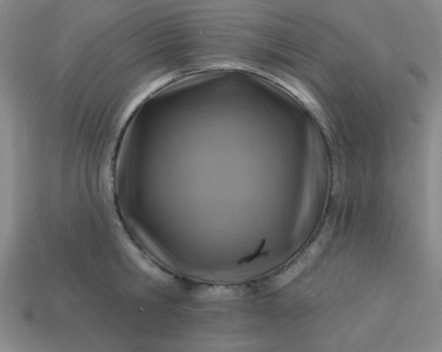 X0000114100806200910191641