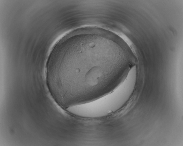 X0000114100807200910191641