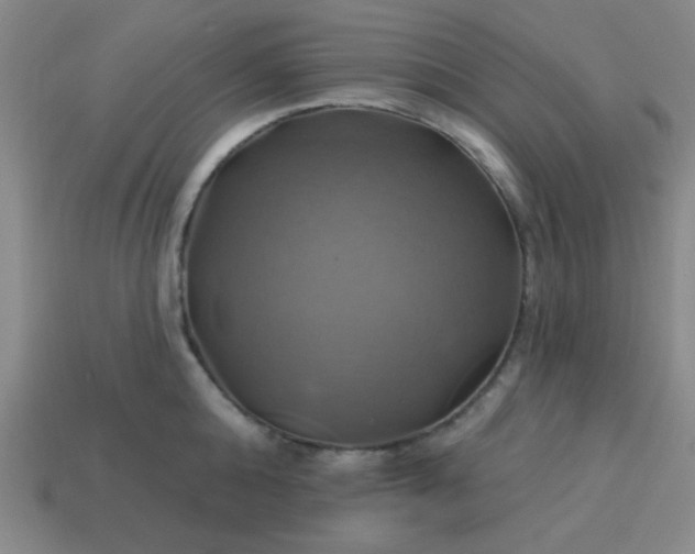 X0000114100808200910191641