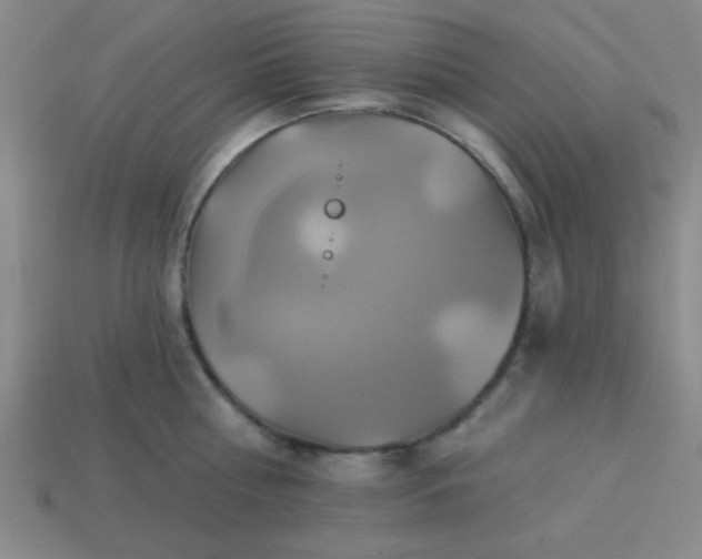 X0000114100810200910191641