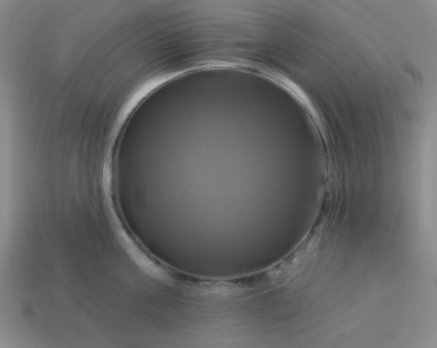 X0000114100811200910191641