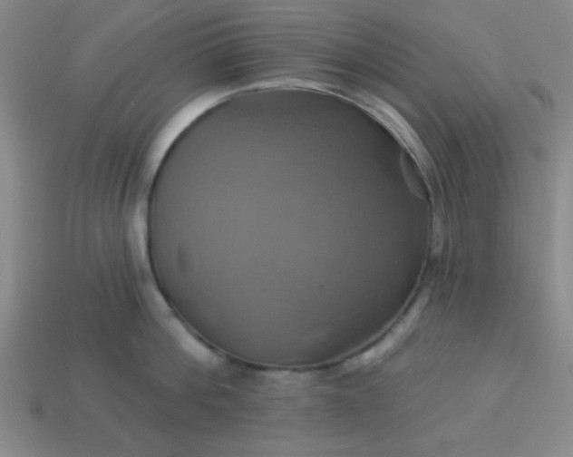 X0000114100812200910191641