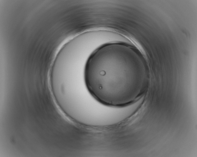 X0000114100813200910191641