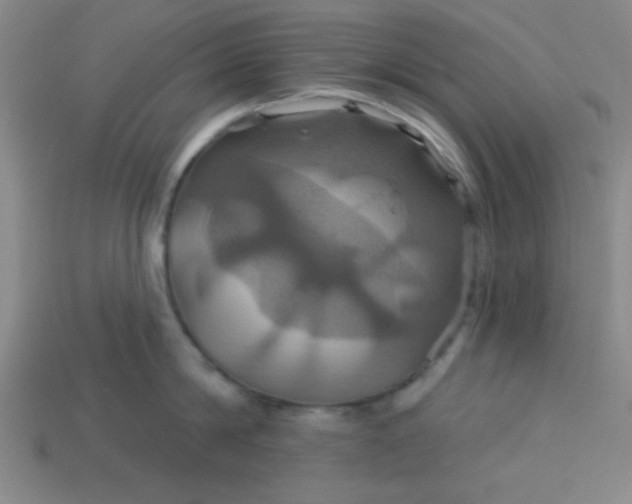 X0000114100814200910191641