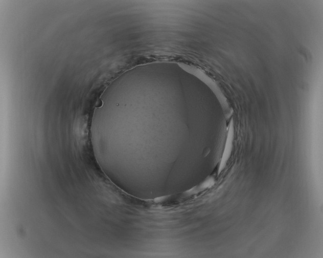 X0000114100818200910191640