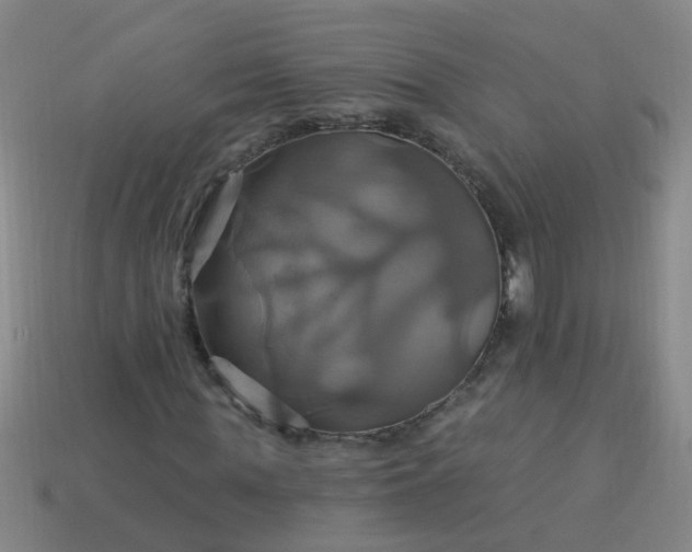 X0000114100819200910191640