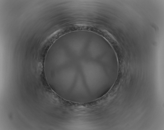 X0000114100821200910191640