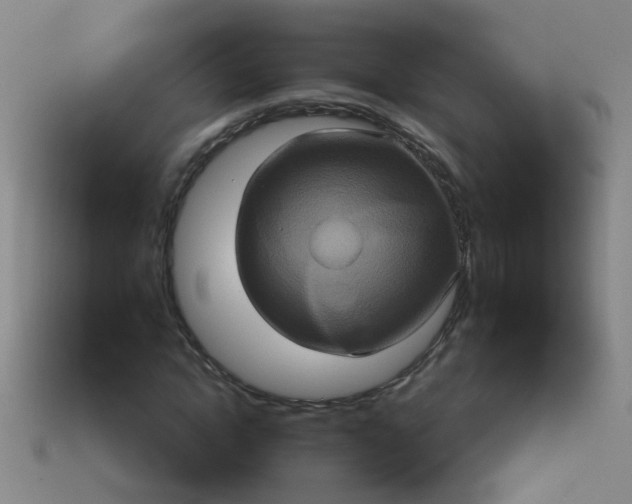 X0000114100822200910191640