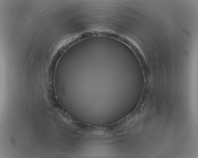 X0000114100823200910191640