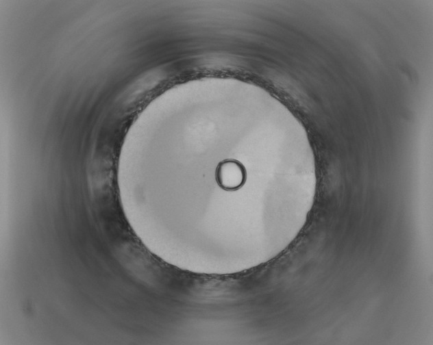 X0000114100824200910191640