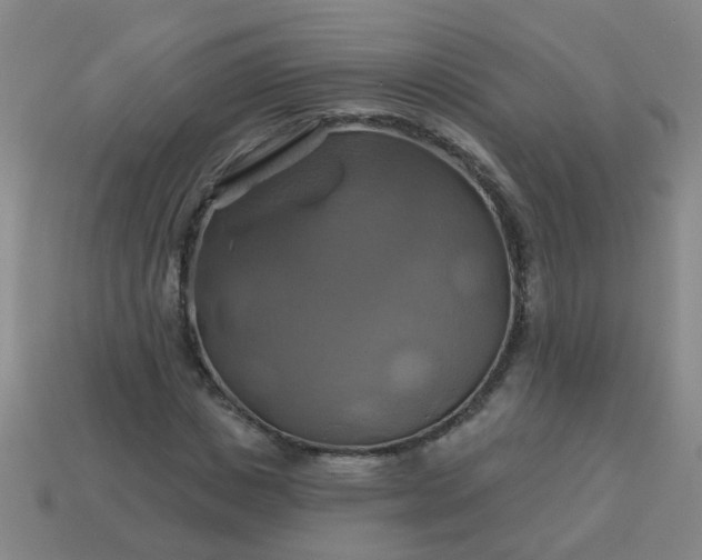 X0000114100825200910191640