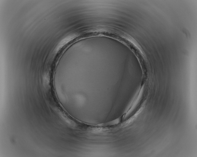 X0000114100826200910191640