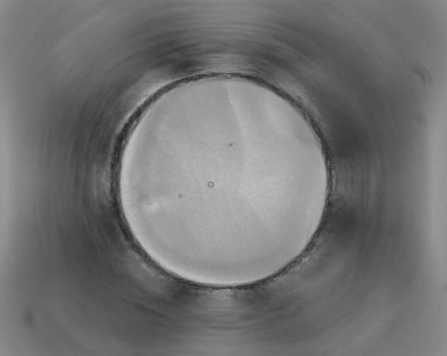 X0000114100828200910191640