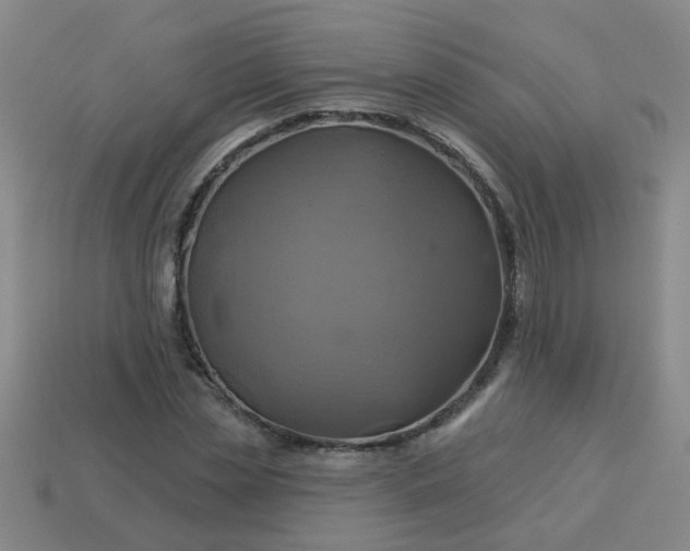 X0000114100829200910191640