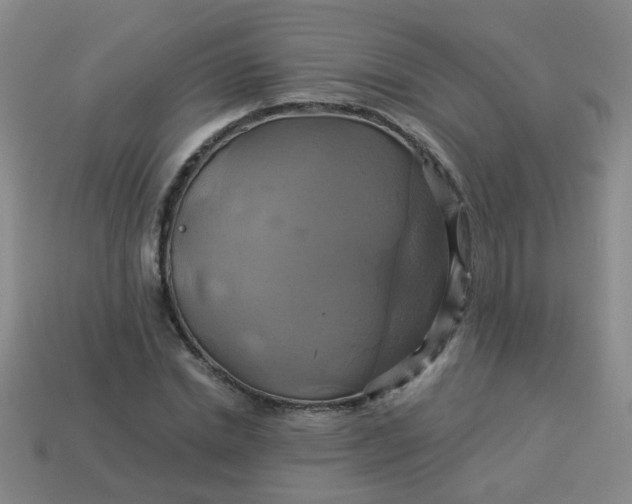 X0000114100830200910191640