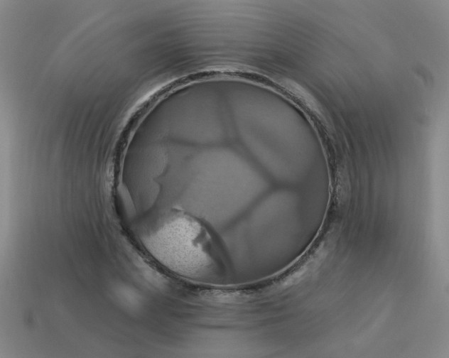 X0000114100831200910191640