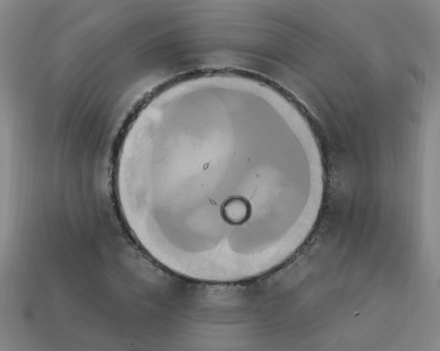 X0000114100832200910191640