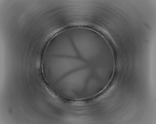 X0000114100833200910191640