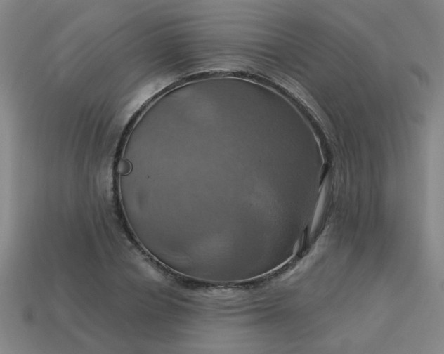 X0000114100834200910191640