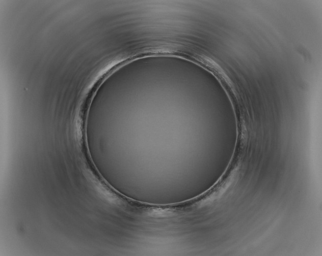 X0000114100835200910191640