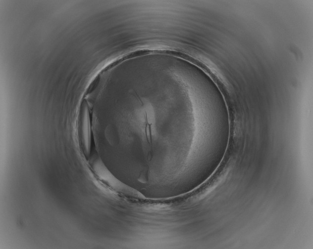 X0000114100837200910191640