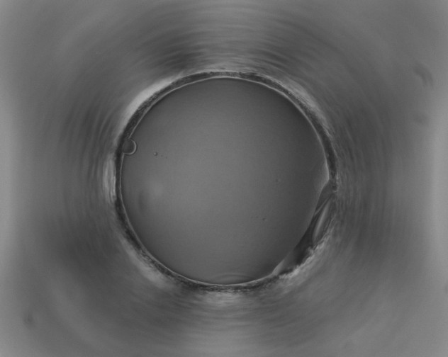 X0000114100838200910191640