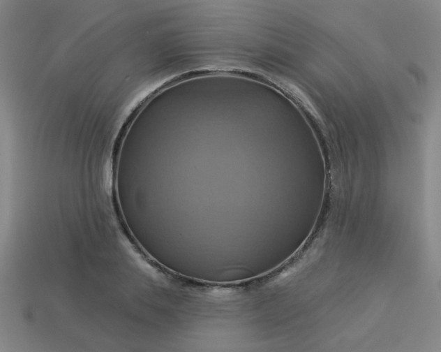 X0000114100839200910191640