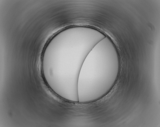 X0000114100840200910191640