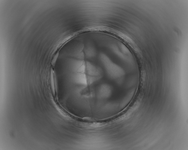 X0000114100841200910191640