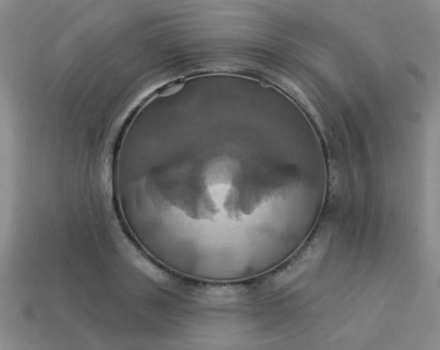 X0000114100843200910191640