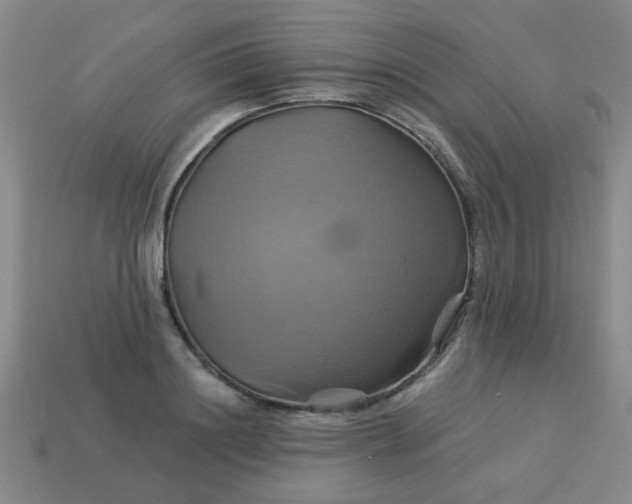 X0000114100844200910191640