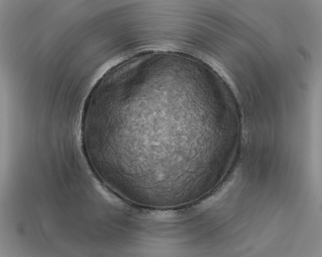 X0000114100845200910191640