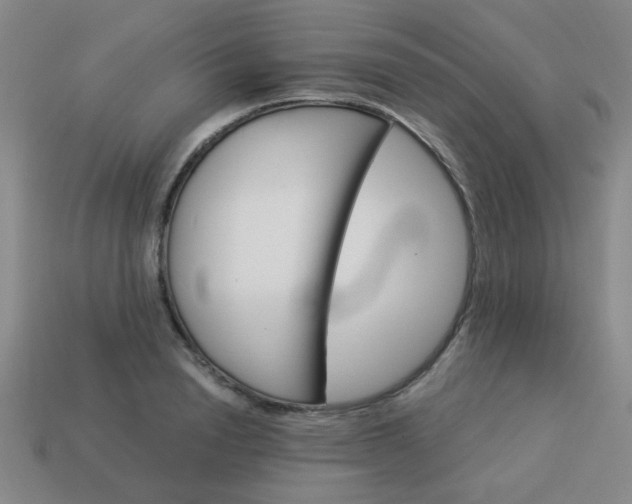 X0000114100846200910191640