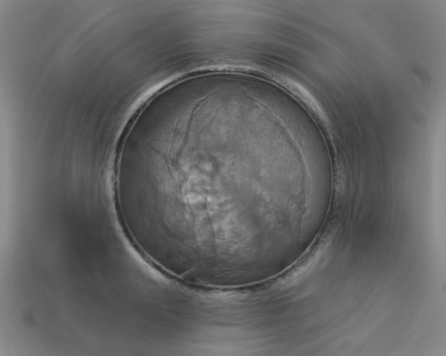 X0000114100847200910191640