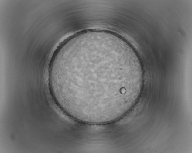 X0000114100848200910191640