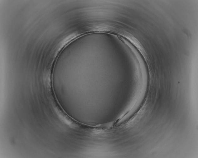 X0000114100850200910191640