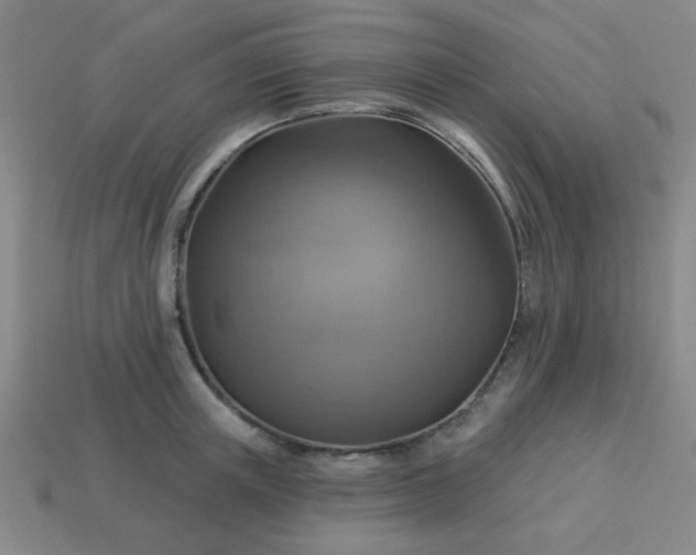 X0000114100851200910191640